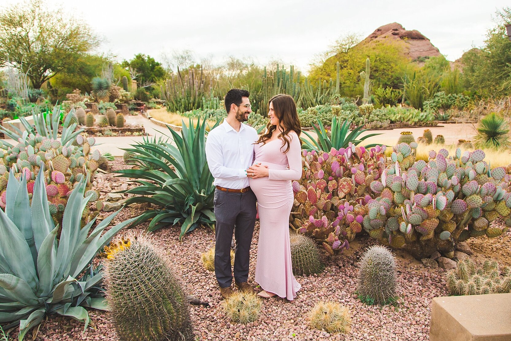 Desert Botanical Garden AZ Tour