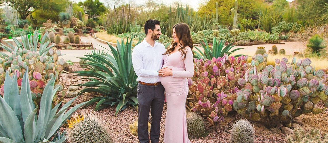 Desert Botanical Garden AZ Tour